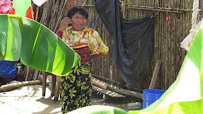 657221-top_foto2-comp0.jpg