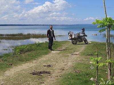662574-free1-pz2qd.jpg